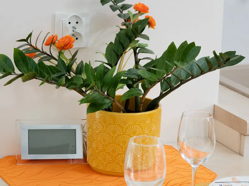Klimatisierte Wohnung | Terrasse, Parkplatz, Nähe zum Meer – Foto 5