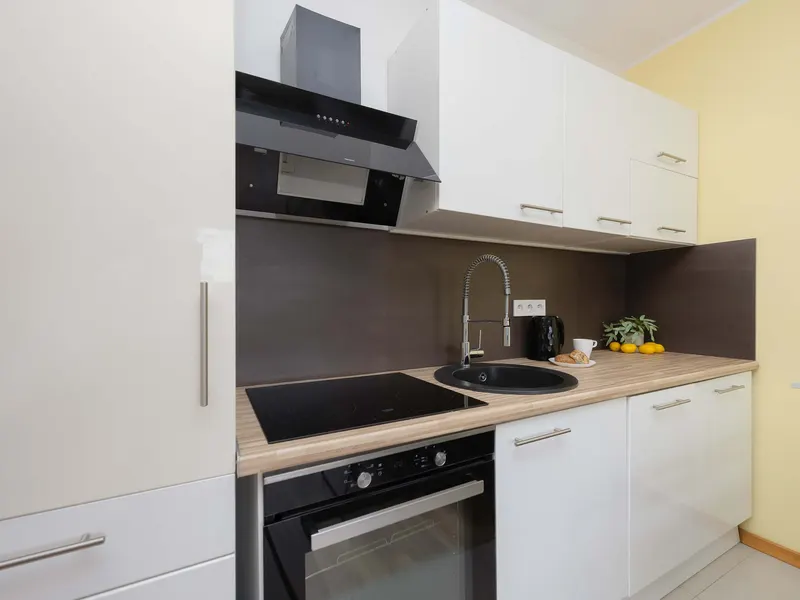 Cozy Apartment | Place to Work | Pet Friendly – photo 3