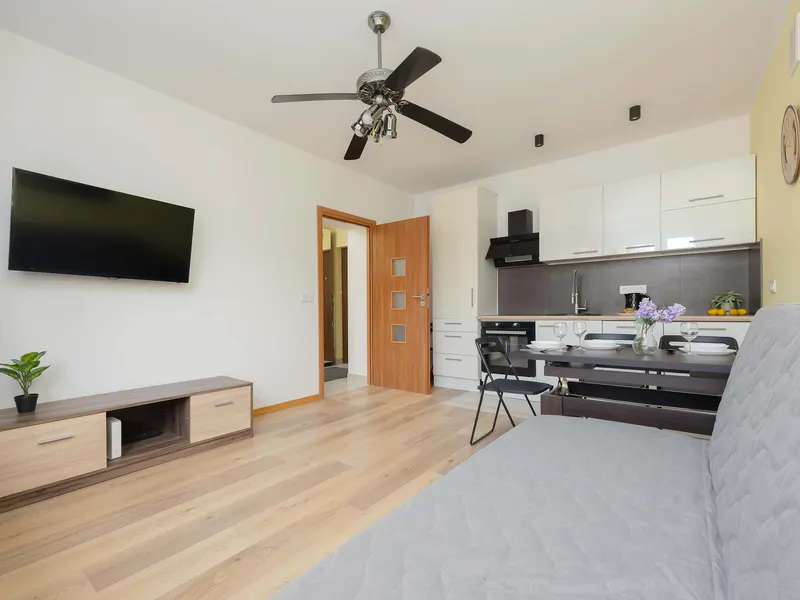 Cozy Apartment | Place to Work | Pet Friendly – photo 5