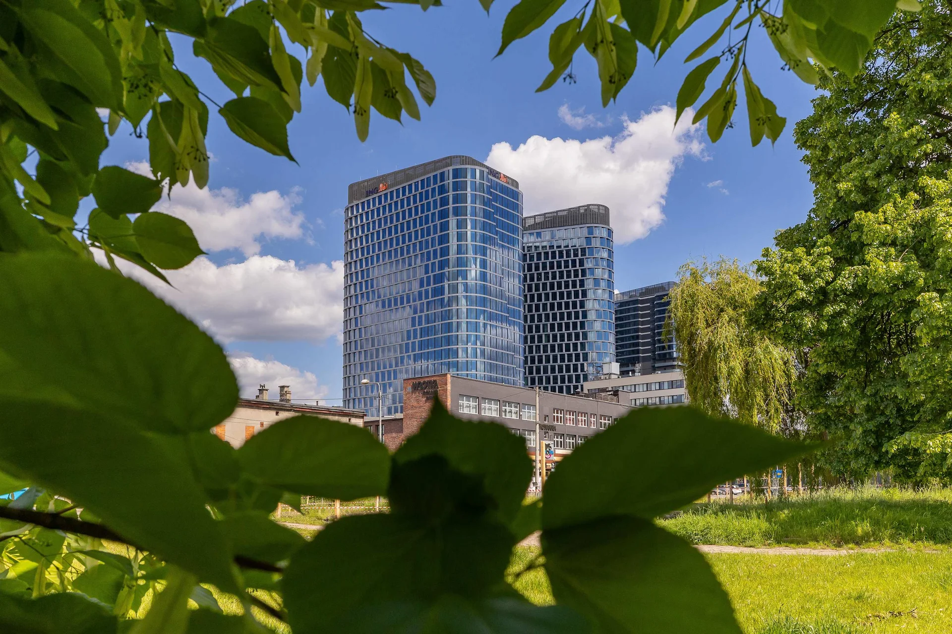 A green courtyard view framed by tree leaves with modern apartment buildings in the background.