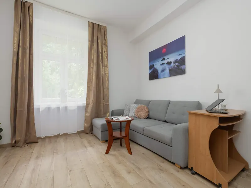 Functional Studio with a Workspace | Pet-Friendly – photo 5