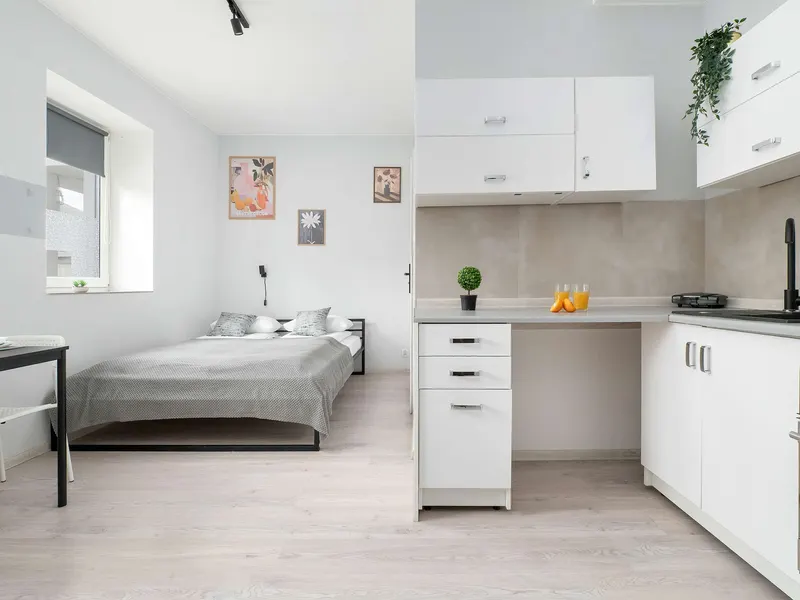 Przytulne Studio z Pralka Niedaleko Muzeum Wlokiennictwa w Lodzi by Noclegi Renters – photo 1