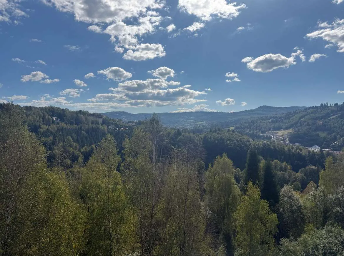 A beautiful view.
