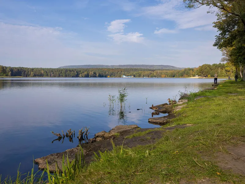 Relaksujący Apartament | Prywatna Sauna i Widok na Las – zdjęcie 3