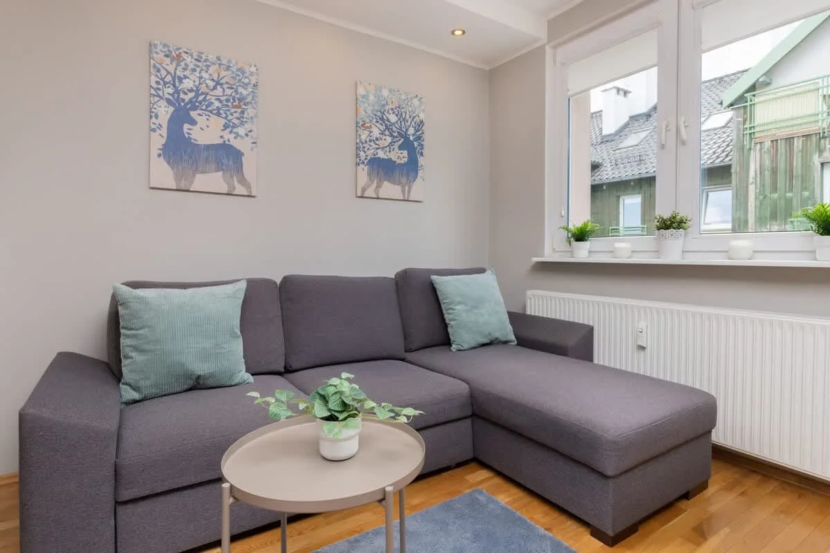 Comfortable, fold-out sofa in the living room.