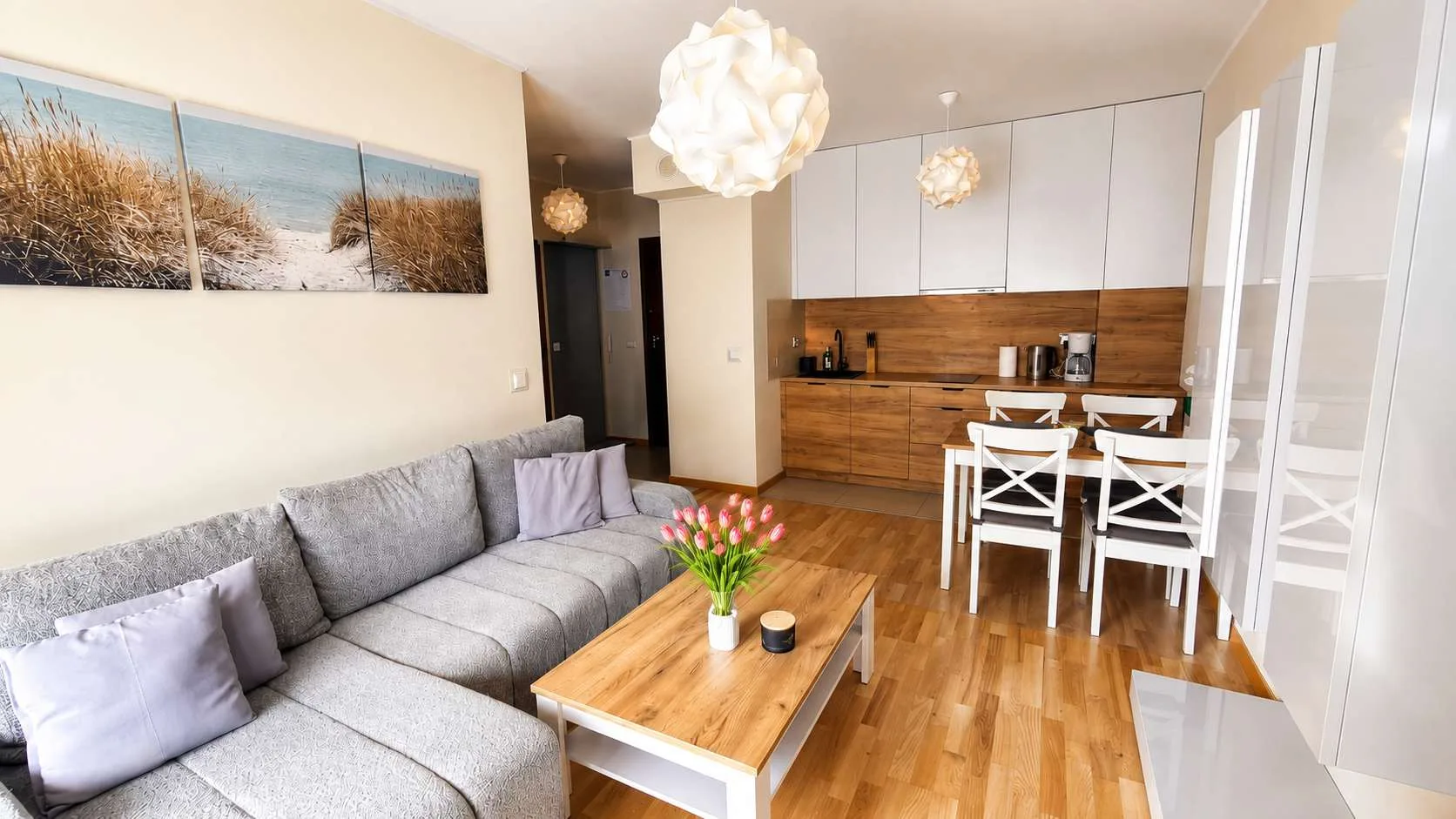 A bright living room with a comfortable sofa. The living room opens onto the kitchenette, making the space very practical.