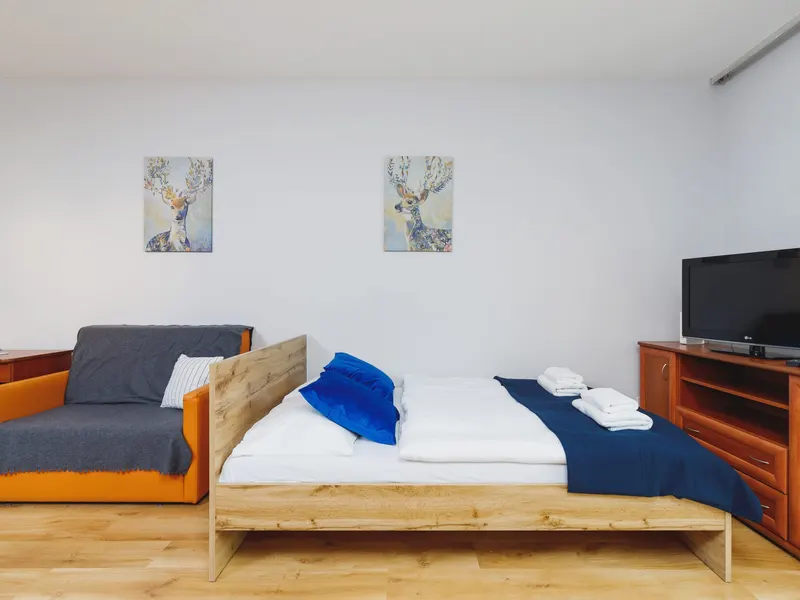 Functional Studio in Krakow | Parking | Balcony | Bathtub – photo 4
