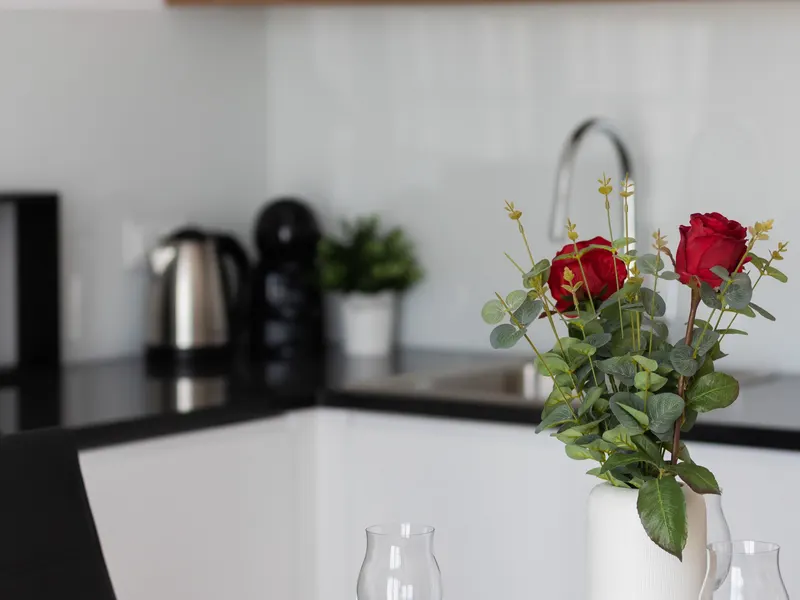 Modern Apartment with Air Conditioning | Near the Old Town – photo 4