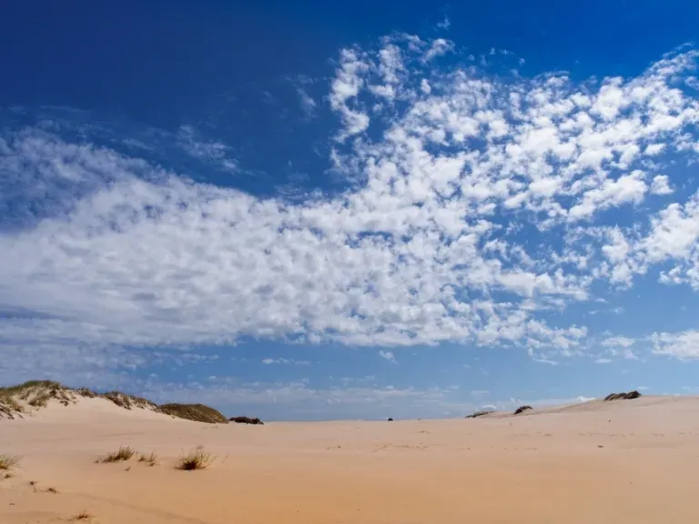 Wydma Łącka, plaża, niebieskie niebo, Łeba