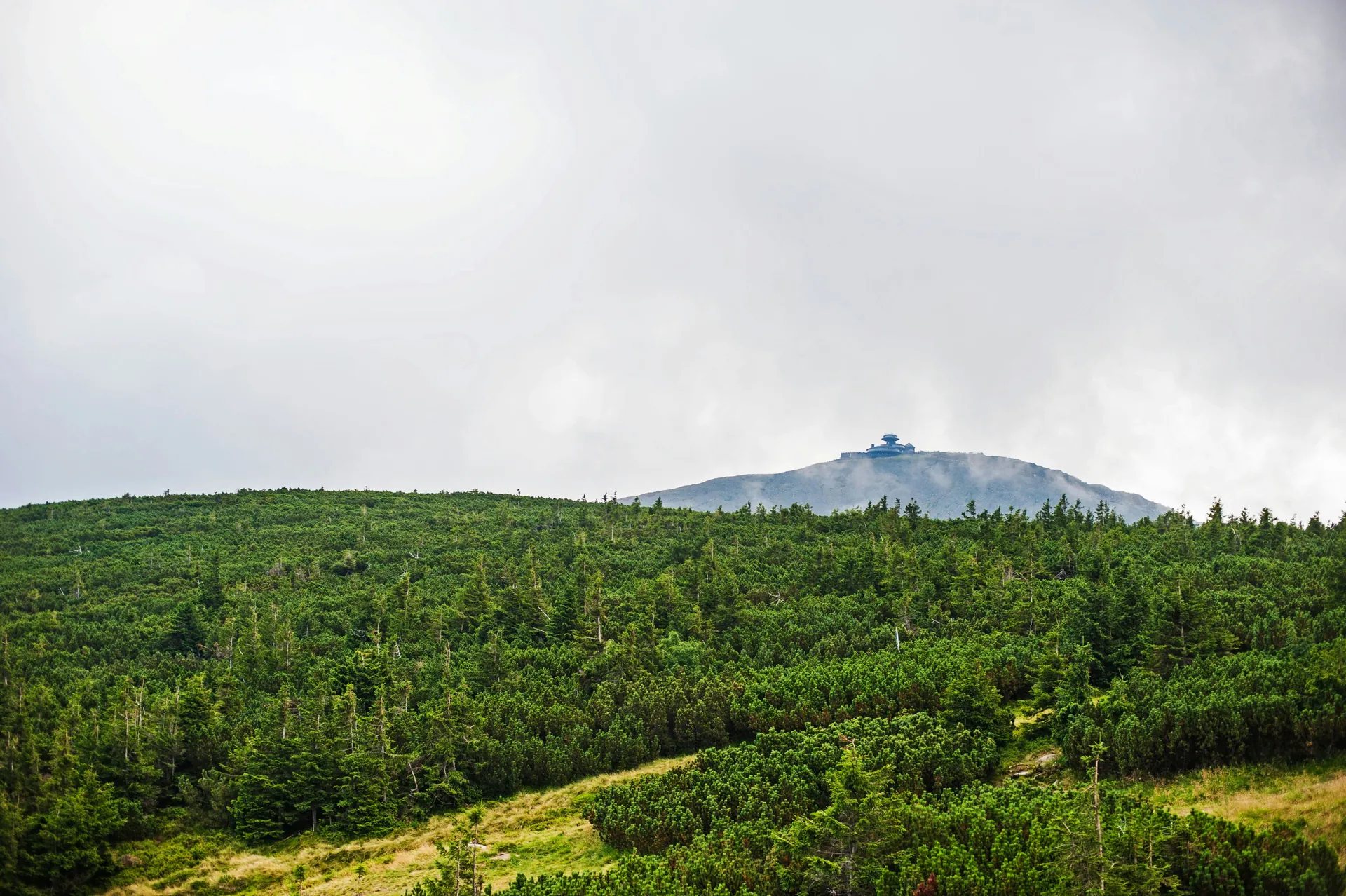 Widok na zalesione góry