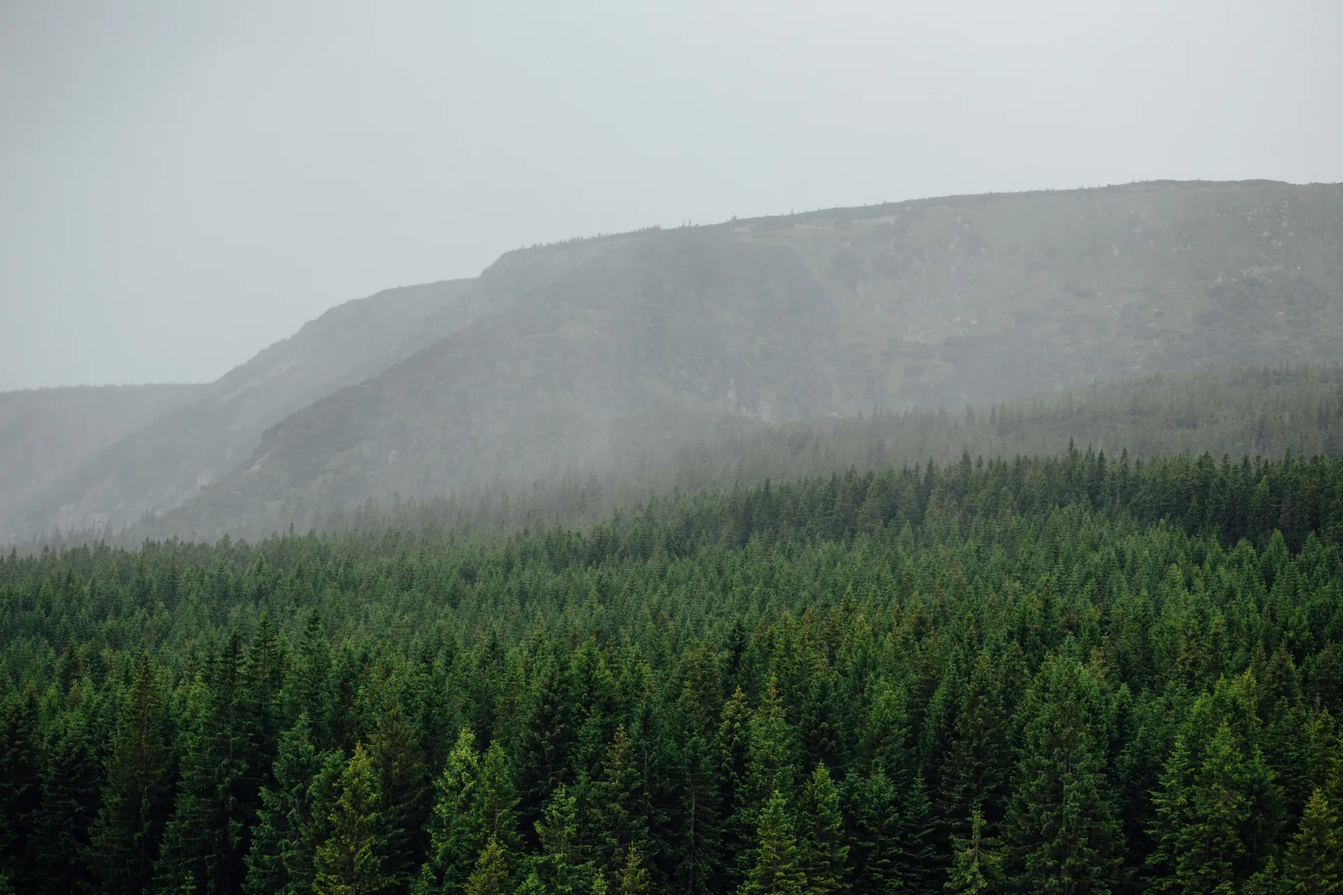 Widok na Karkonosze
