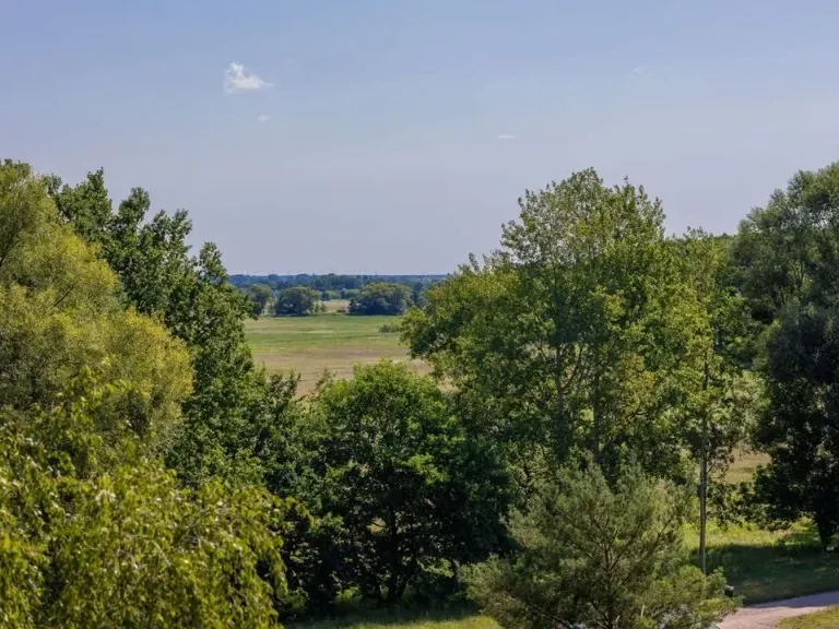 Widok na zieleń, słoneczna pogoda, Konstancin-Jeziorna