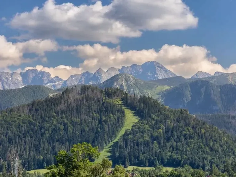 Widok na Tatry