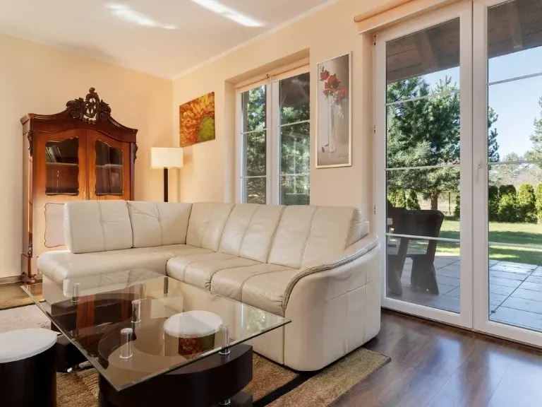Wnętrze domu, salon, sofa