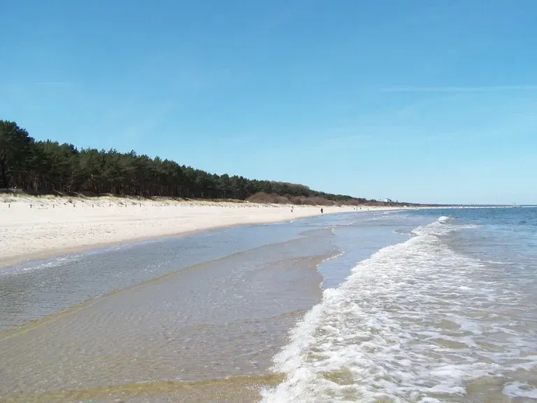 Plaża w Grzybowie, morze, plaża