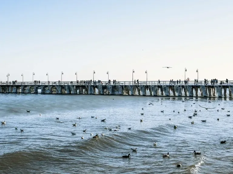 Morze Gdynia