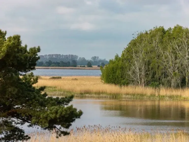 Rogowo natura