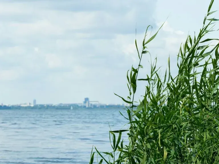 Szczecin znad wody