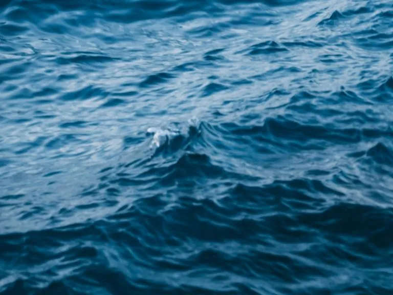 Może morze może ocean