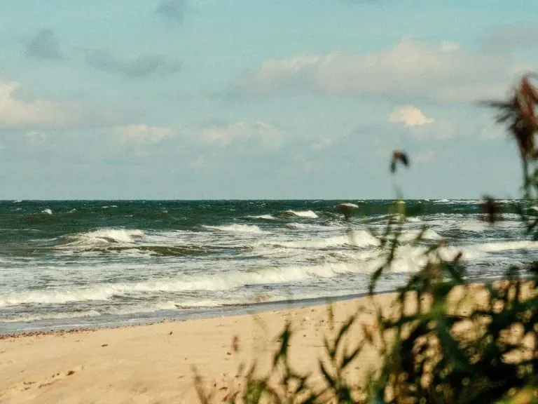 Wisełka plaża