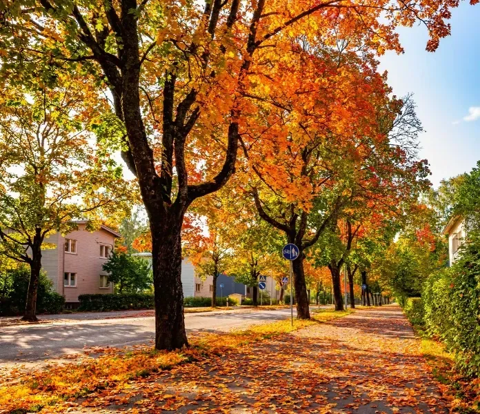 Gdzie na city break jesienią?
