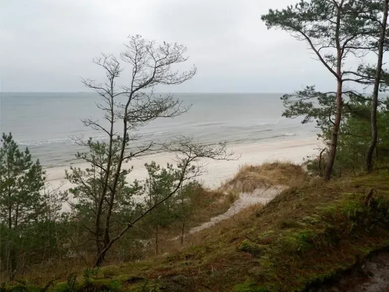 plaża i morze