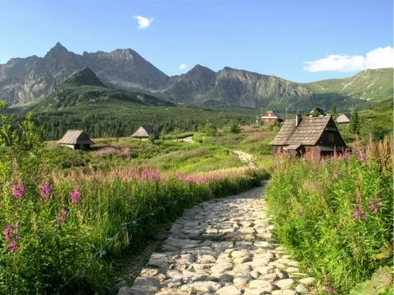 zakopane ścieżka góry 2