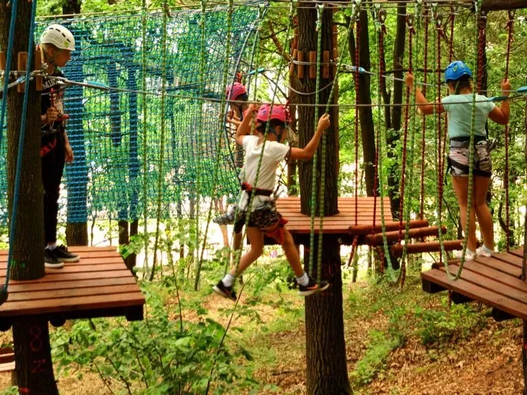 park linowy