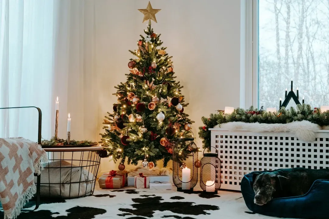 Choinka oraz piesek na legowisku